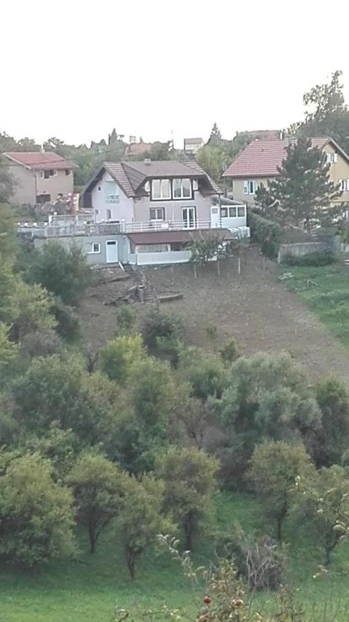 Panorama Apartman Molvice Exteriör bild