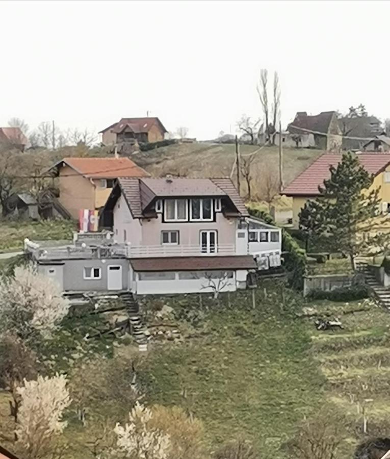 Panorama Apartman Molvice Exteriör bild
